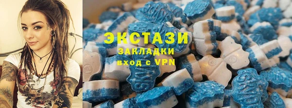 ECSTASY Богданович