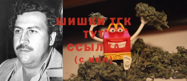 PSILOCYBIN Навашино