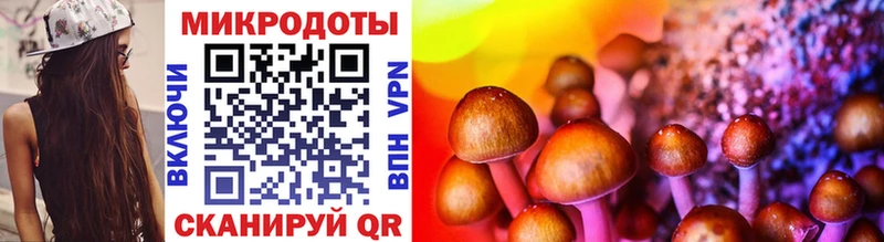 Галлюциногенные грибы ЛСД  Полевской 