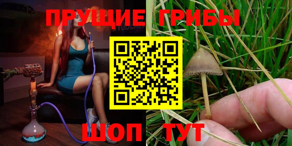 Псилоцибиновые грибы мухоморы Полевской