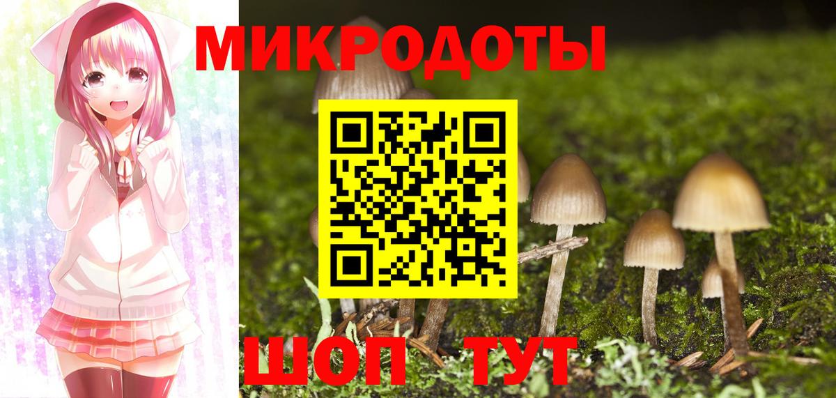 Галлюциногенные грибы Psilocybe  Псилоцибиновые грибы Psilocybine cubensis  Полевской 